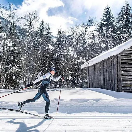 Wiesenweg Inklusive Kostenfreiem Eintritt In Alpentherme