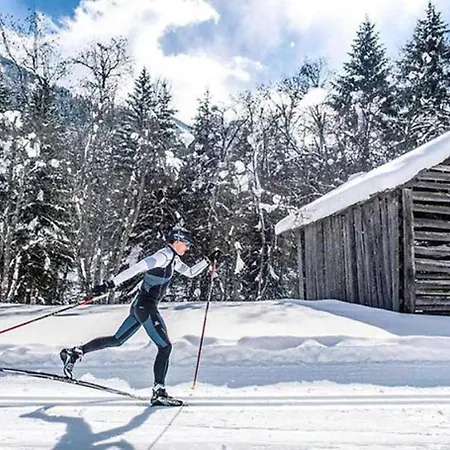 Wiesenweg Inklusive Kostenfreiem Eintritt In Alpentherme Lejlighed